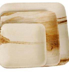 Biodegradable ware